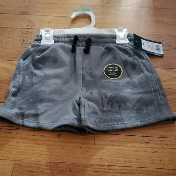 art class Other - NWT Palm Tree Shorts, boys 18 Months
